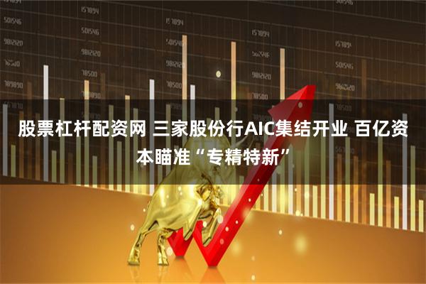 股票杠杆配资网 三家股份行AIC集结开业 百亿资本瞄准“专精特新”